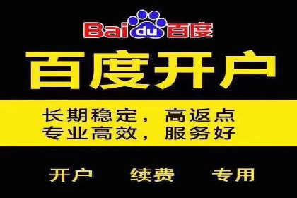 案例分析：SEM推广助力行业竞争突围